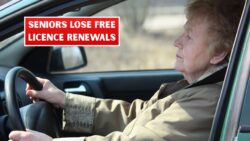 Goodbye to Free Licence Renewals: Seniors Face New Fees Ranging $300 to $600 From 20 February 2026